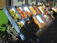 907737 Afbeelding van de fruituitstalling voor de Turkse supermarkt (Merelstraat 48) te Utrecht.